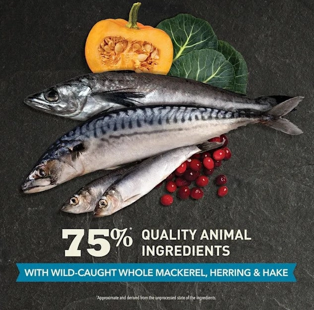 ACANA Grain Free Wild Atlantic Freeze Dried Coated Dry Cat Food