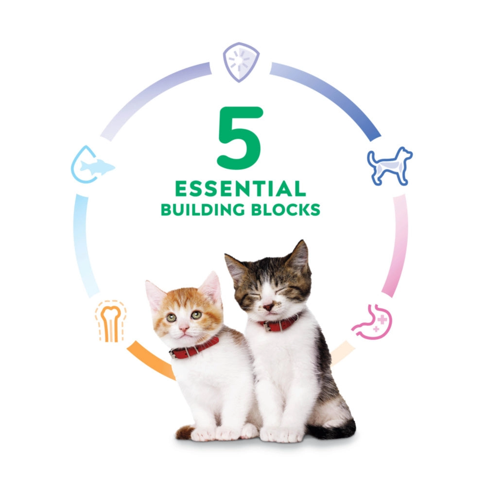 Hill's Science Diet Kitten Liver & Chicken Entree Canned Cat Food