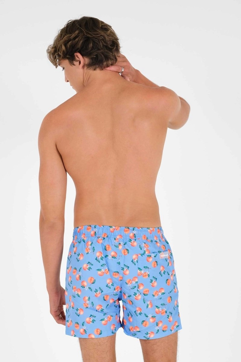 Men's Board Shorts / Citrus Sky FINAL SALE