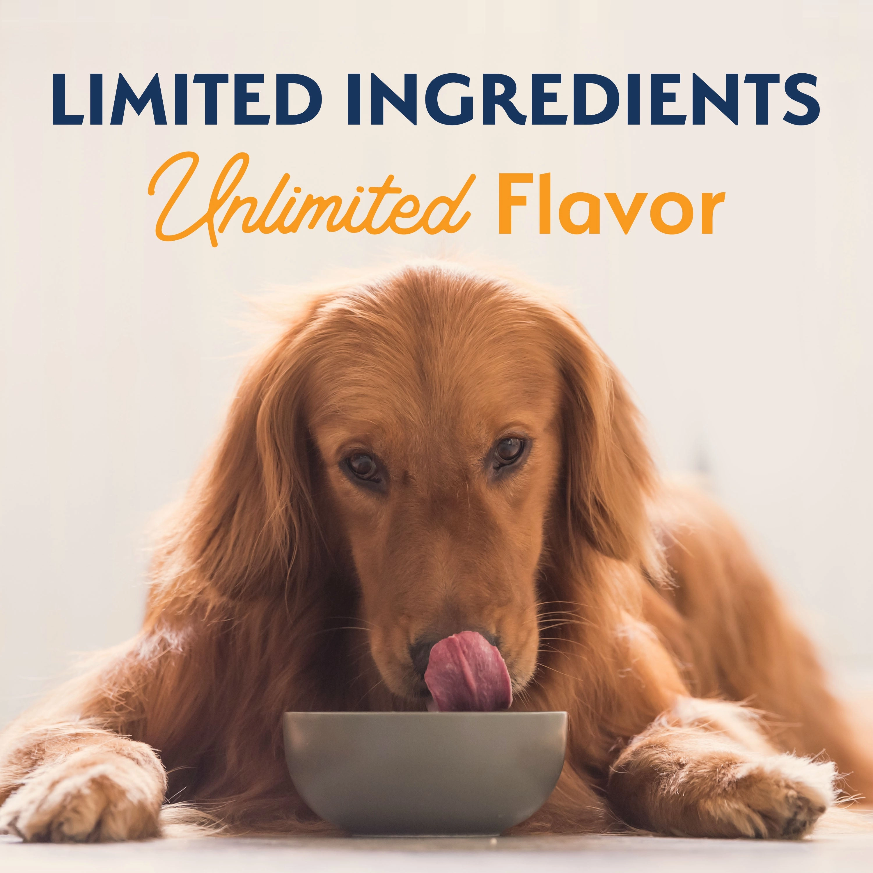Natural Balance® Limited Ingredient Grain Free Duck & Potato Recipe Dog Dry