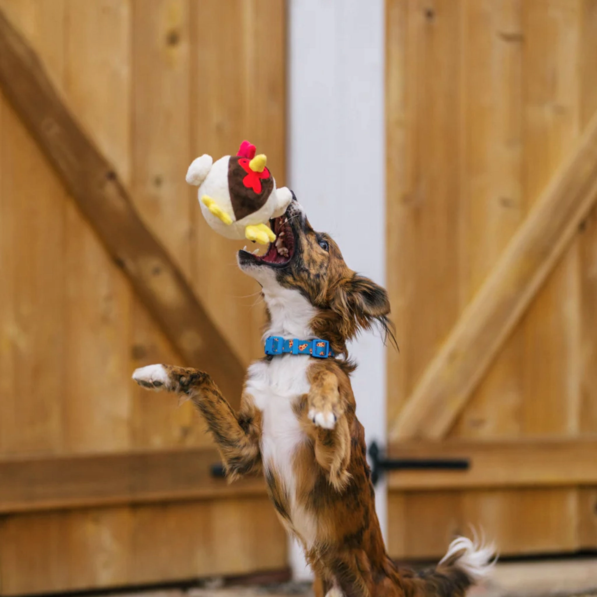 P.L.A.Y. Barnyard Buddies Ryan Rooster Dog Toys