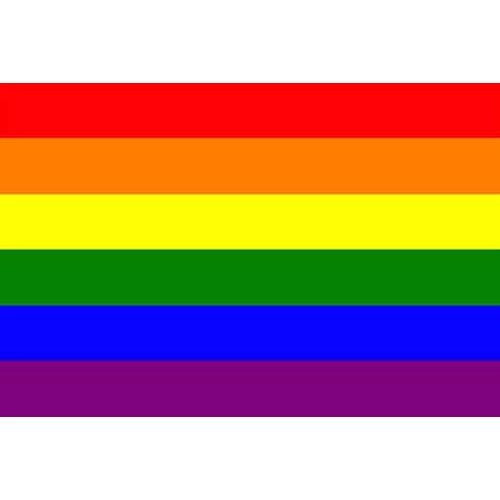 Pride and Genderqueer Flags
