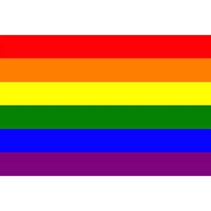 Pride and Genderqueer Flags