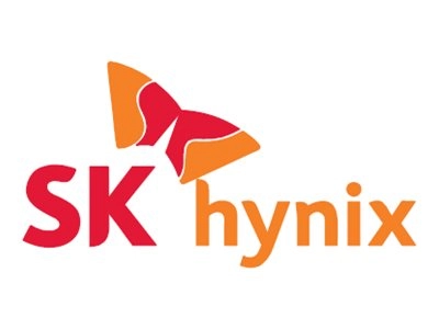 SK Hynix - DDR4 - module - 64 GB - DIMM 288-pin - 3200 MHz / PC4-25600 HMAA8GR7AJR4N-XN T4 AD