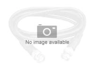 Strategic Sourcing - Patch cable - LC/UPC single-mode to LC/UPC single-mode - 5 m - fiber optic - OS2 NLSMGNP-LCLC-5M