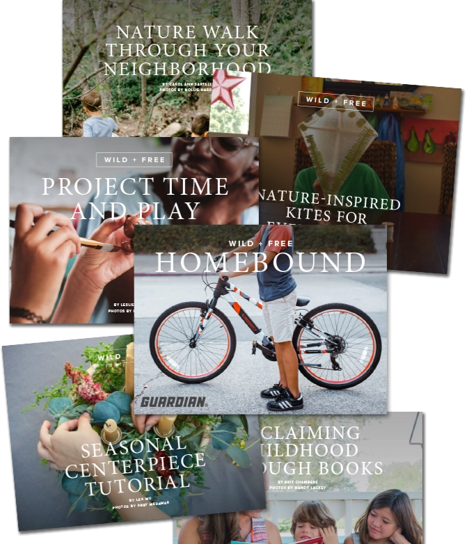 Wild   Free "Homebound" Digital Content Bundle